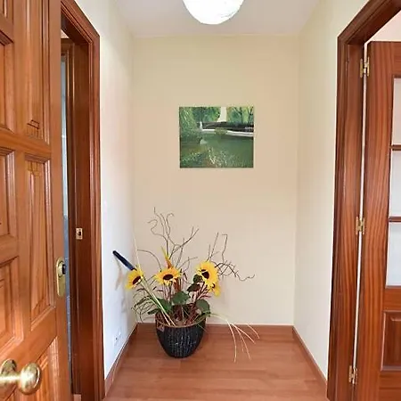 Apartamento Apartment O Pindo